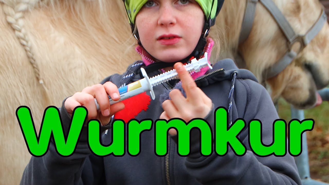 Wurmkur: Wie und warum Pferde entwurmen?
