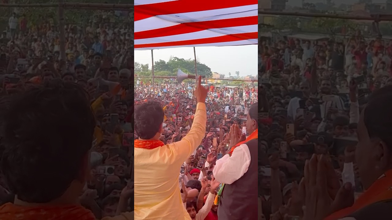 #dineshlalyadav #nirahua ji in #bihar #bjpbihar #bjpnews #bjpindia￼