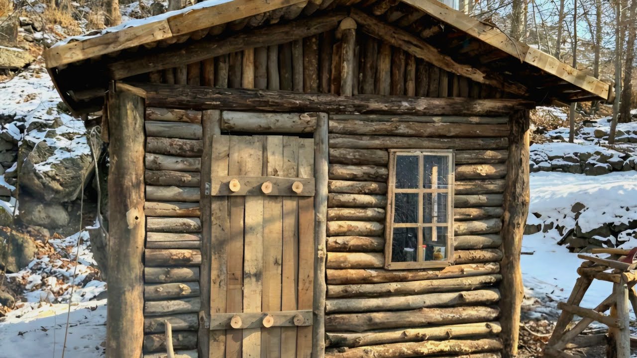 Building a Forest House. From Start to Finish.Wooden Building