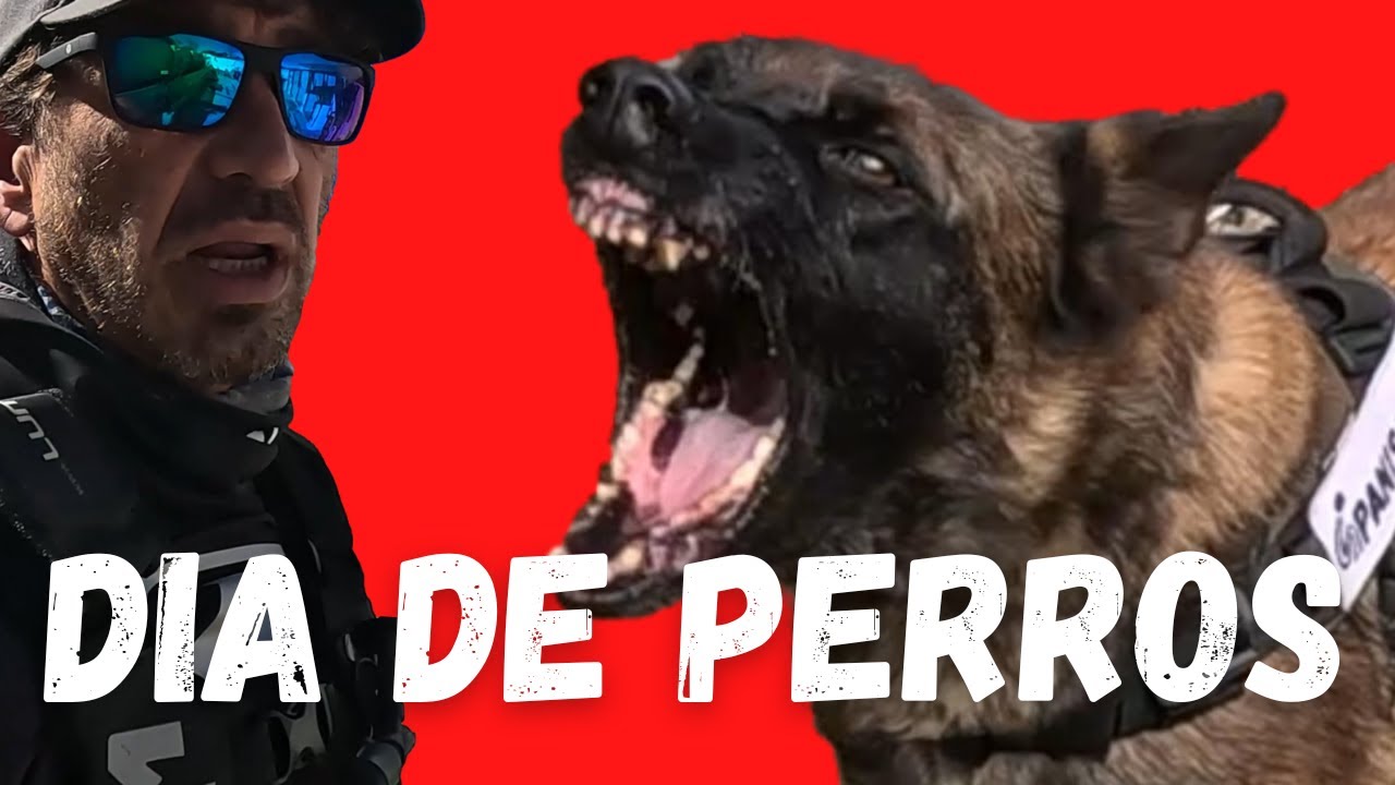 🔥 Dia de Perros!!  - Ven si te Atreves!!   🔥 Rutas en moto Trail - BMW F850GS