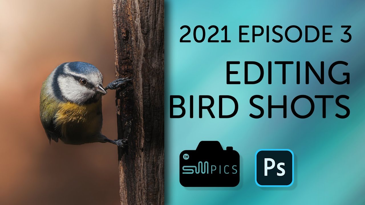 Bird Photography Lightroom and Photoshop Edit - Episode 3 - 2021
