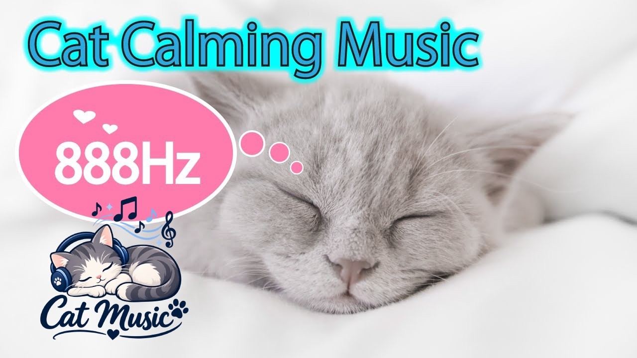 888Hz | 猫が潜在意識から安らぐ音楽 | 猫のお留守番のための周波数｜猫の不安を取り除く528Hz+888Hz.Cat Healing Special Frequency