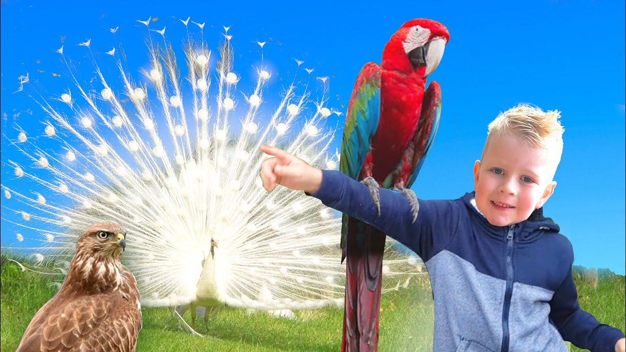 Vogelpark Lorkeershoeve lachende Hanen in Lutten  ► Milan & Emily ◄
