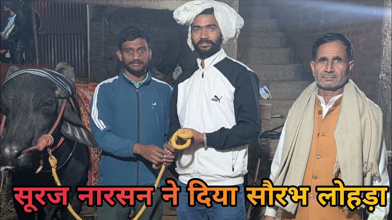 सूरज नारसन ने दिया सौरभ लोहड़ा को झोटा 