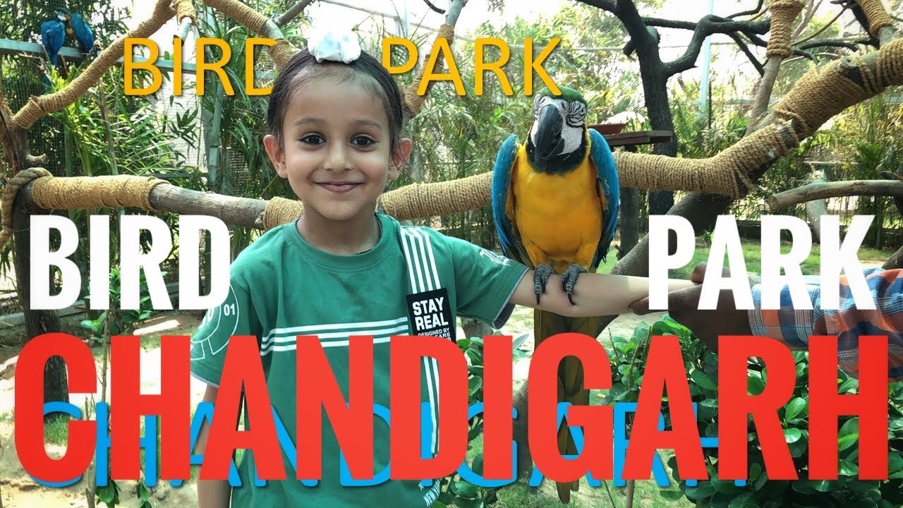 EP 13 |Chandigarh Bird Park | Timing tickets, parking and all information | Daytrip | Hum Hai Rahi