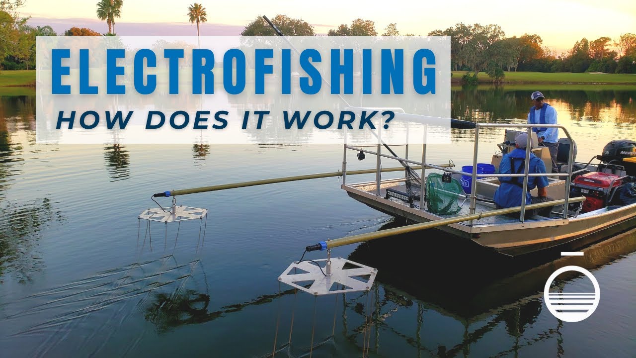 Electrofishing: How Does it Work?