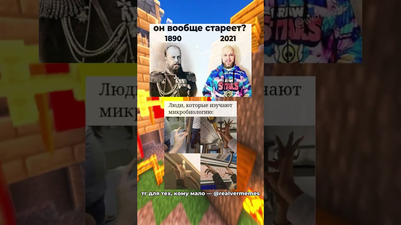 тгшка: RealVer Memes