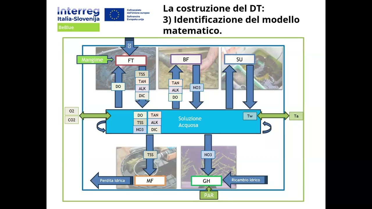 Webinar BeBlue - Krepitev agroživilske proizvodnje z akvaponiko