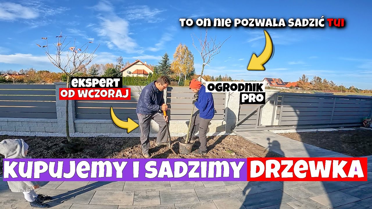 JAKIE DRZEWA WYBRALIŚMY DO OGRODU? SADZIMY DRZEWKA! JAK PRAWIDŁOWO SADZIĆ DRZEWA? JAKI KOSZT?