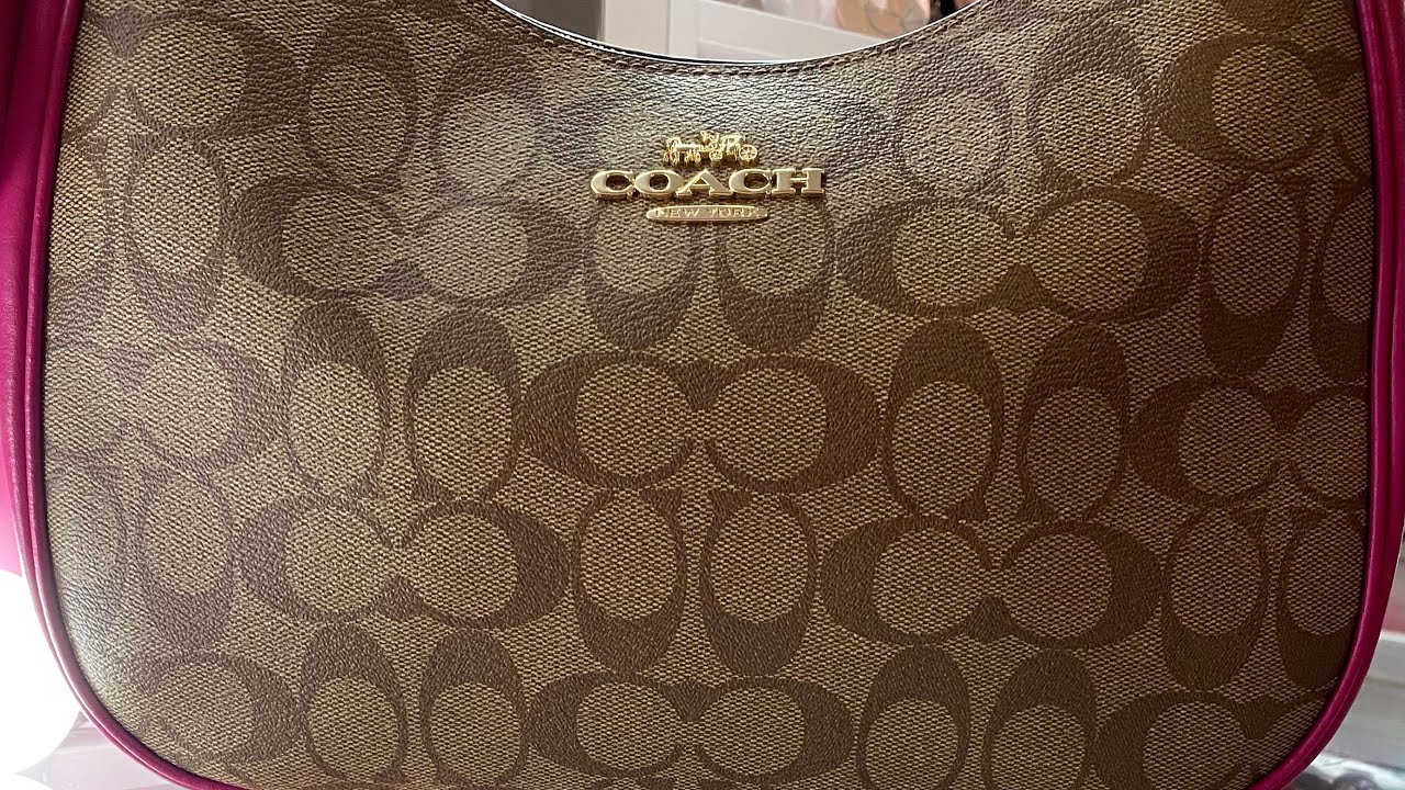 Coach Teri Hobo /what’s in my bag