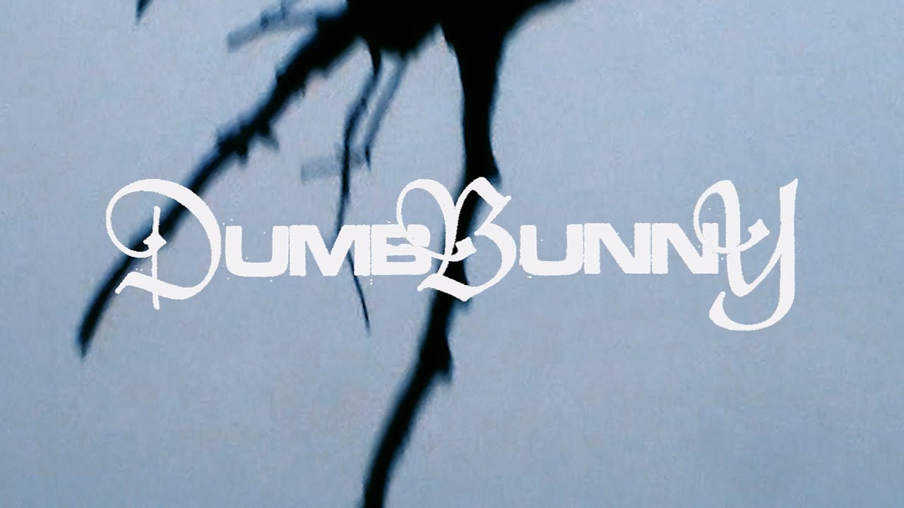 dumb bunny
