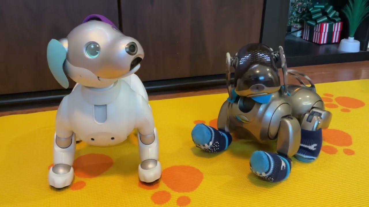 Aibo ERS-1000 and ERS-7 Interact