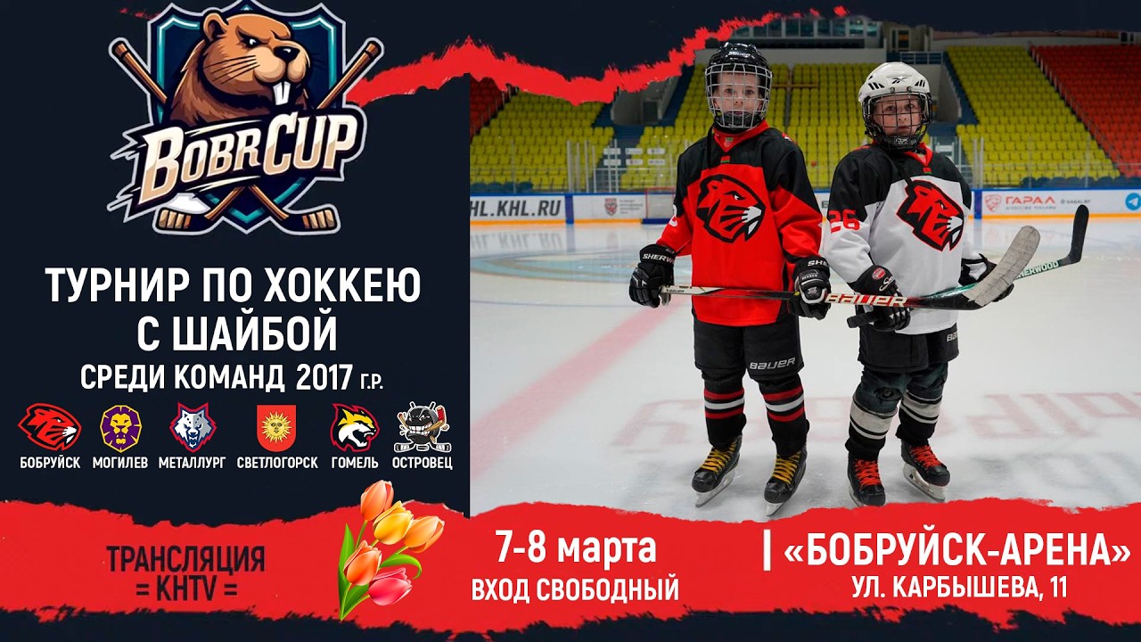 8.03.2026. BC. 2017. ПС. Металлург-2 - Гомель-белые