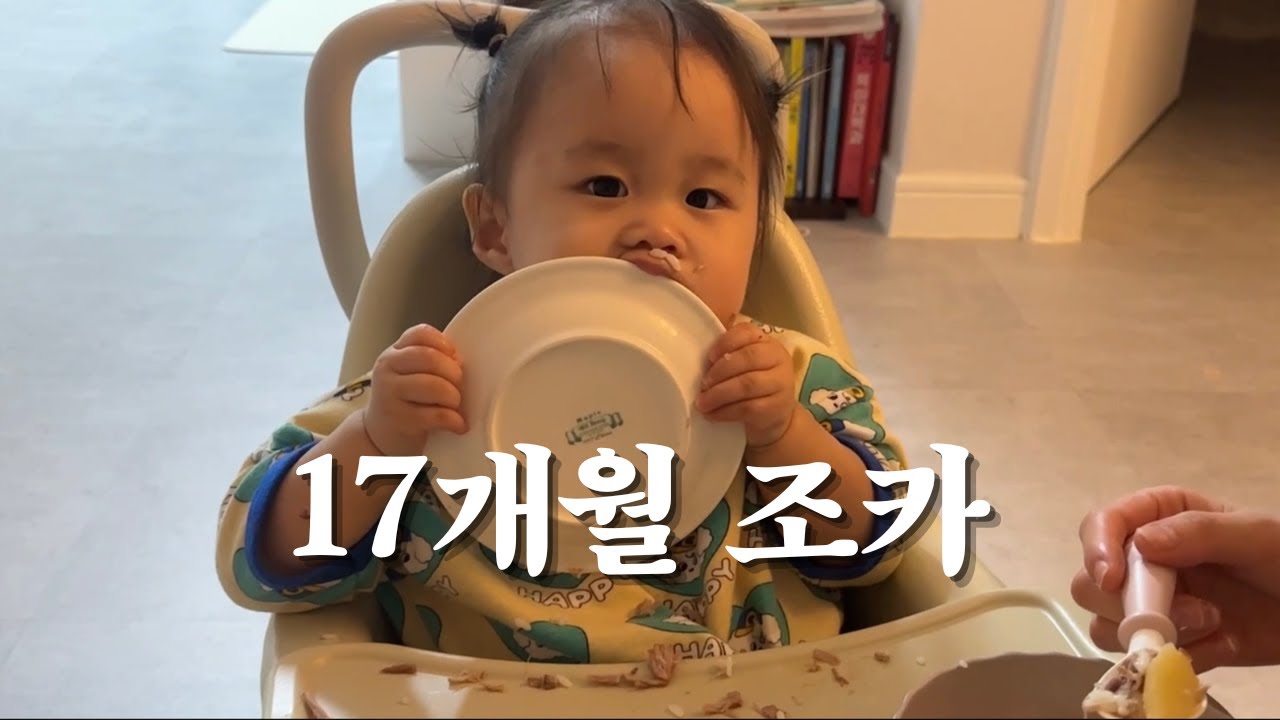 [빵뷰리 일상] 17개월 조카 개인기 | 엄마랑 이모가 어린이집에 데릴러 왔어요. | 갑자기 노로 바이러스로 수액엔딩 😢