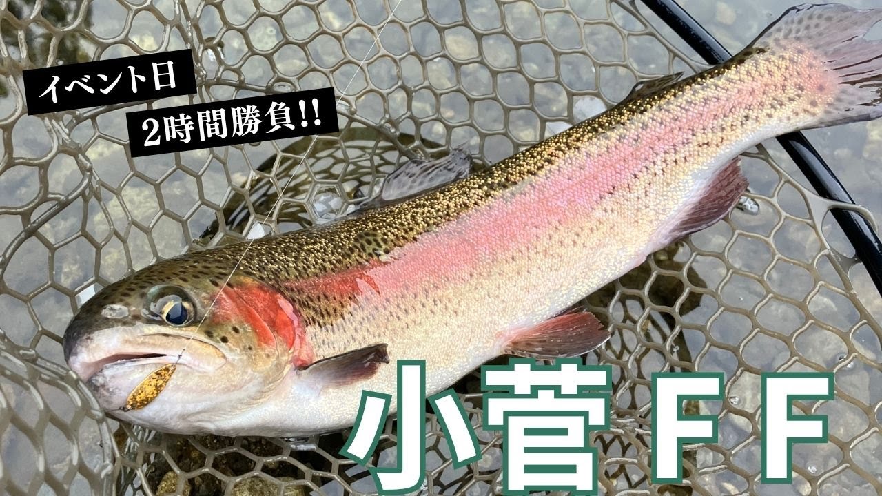 【小菅FF】2時間勝負でも充分満足できる釣果でした
