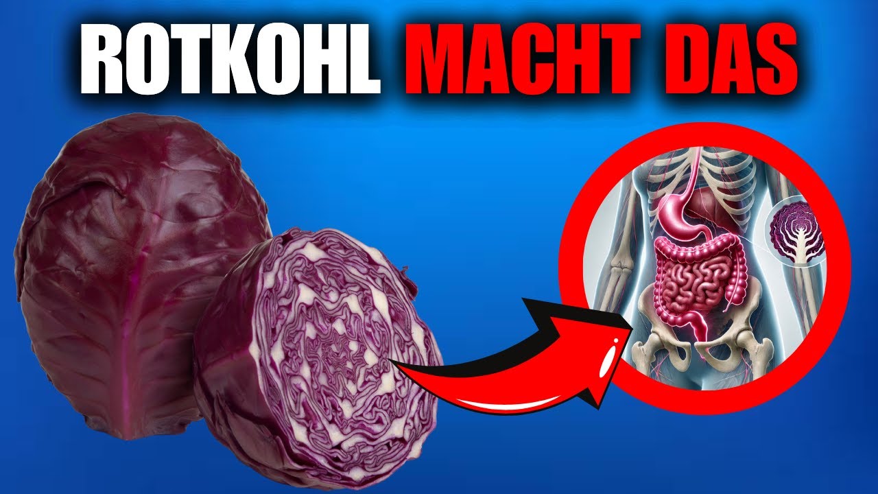 WUSSTEN SIE DAS &Uuml;BER ROTKOHL? DAS VER&Auml;NDERT IHRE VERDAUUNG!