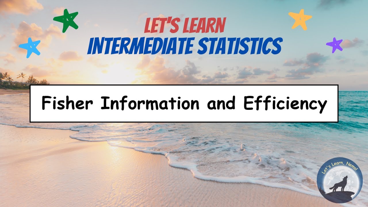 (IC08) Fisher Information and Efficiency