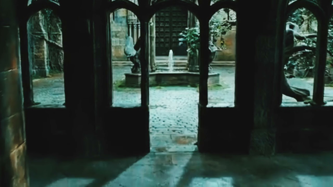 Pov: Y/N Shifting'i başarıp Hogwarts'a gelmiştir ama tahmin etmediği şeyler olur... Part 1