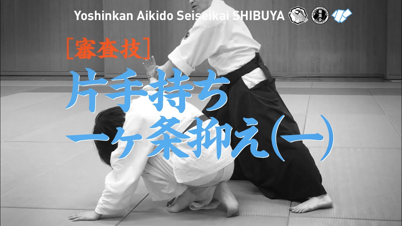 ［審査技｜片手持ち一ヶ条抑え(一)］養神館合気道 精晟会渋谷の稽古