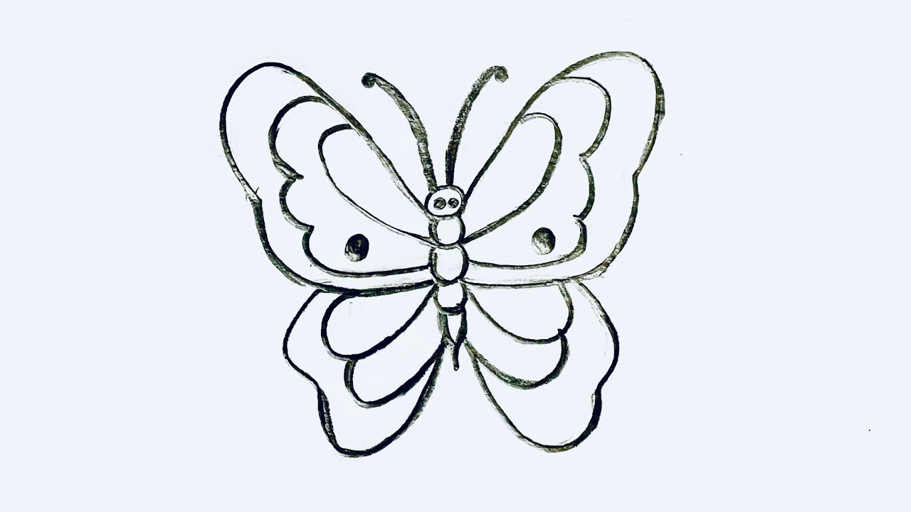 How to draw butterfly by pencil 