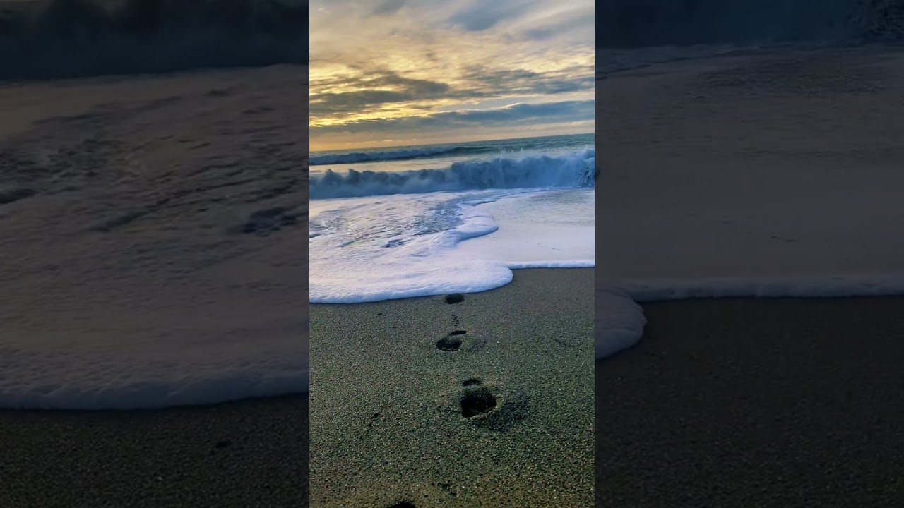 Ocean's music: healing waves for quiet listening