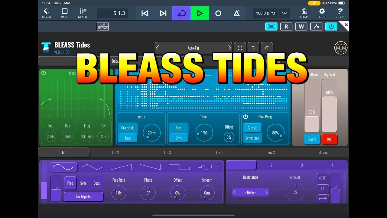 BLEASS TIDES - Flexible Delay with 4 LFOs, 2 Envelope Followers & Macros - Brilliant - iPad Demo