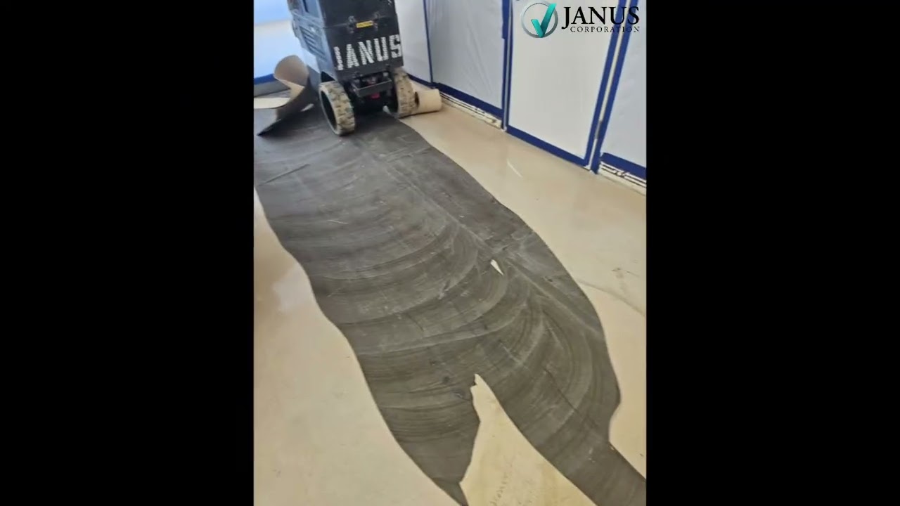 Janus Corporation Selective Demolition