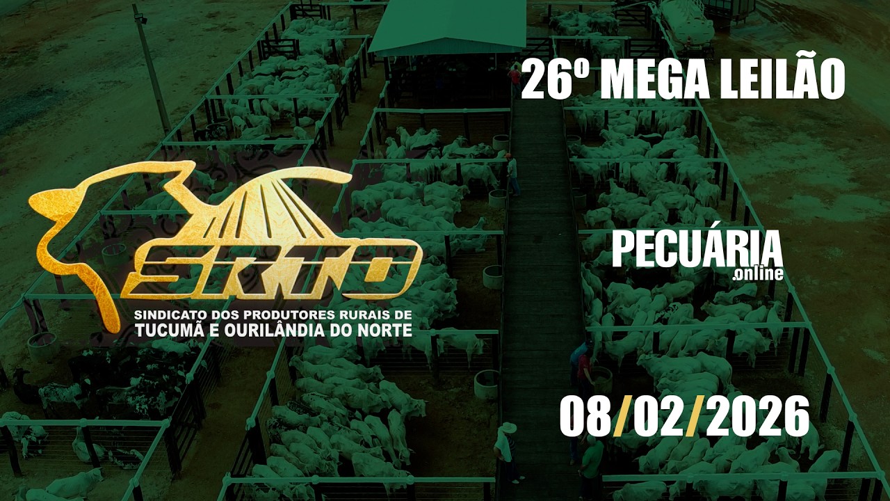 26º Mega Leilão - SRTO - Dia 08/02/2026