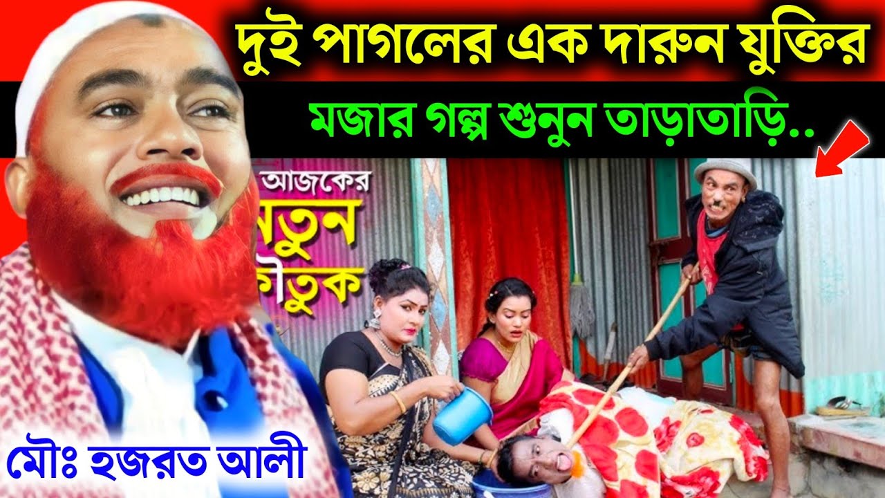 দুই পাগলের এক দারুন যুক্তি শুনুন❗Maulana Hazrat Ali New Jalsa|Hazrat Ali Jalsa|Hazrat Maulana Jalsa