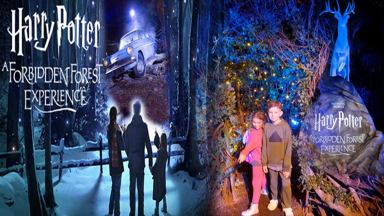 Harry Potter: A Forbidden Forest Experience