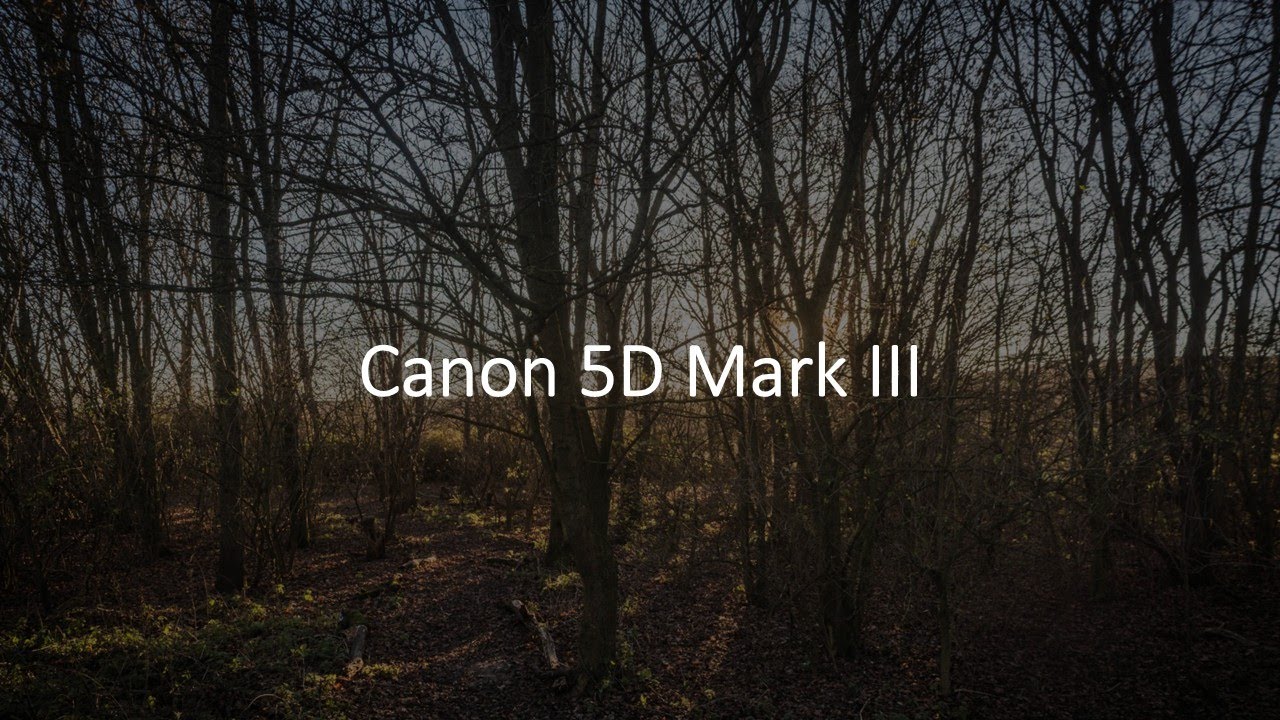 Canon 5D Mark III