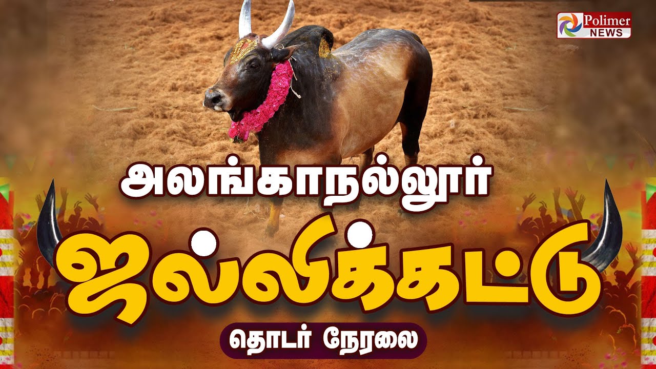 Alanganallur Jallikattu 2025 | அலங்காநல்லூர் ஜல்லிக்கட்டு | Pongal | Madurai | மதுரை