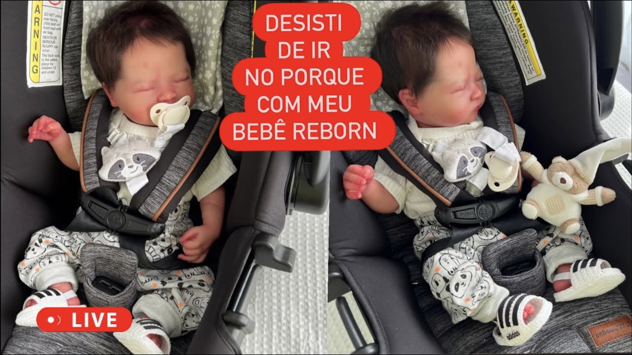 PASSEANDO NO PARQUE COM BEBÊ REBORN MIGUEL
