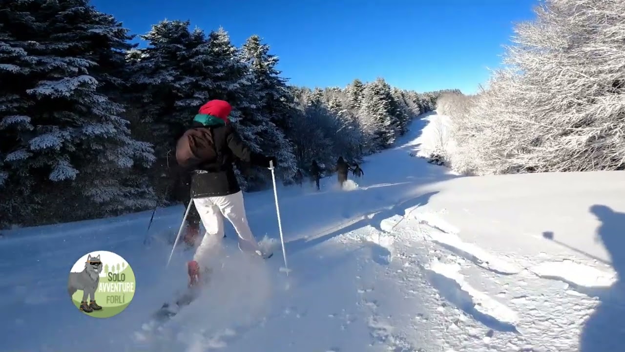 ciaspola trail fumaiolo 2026