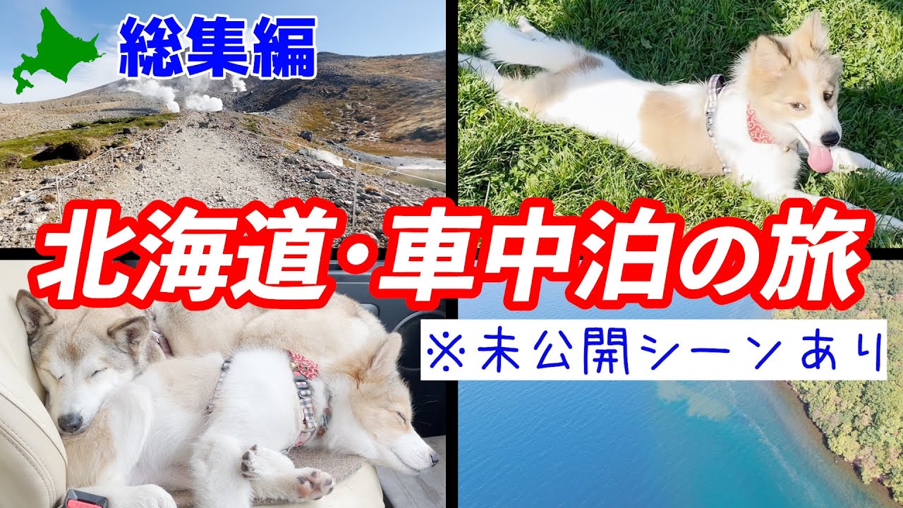 【総集編】秋の北海道周遊を一気見！未公開シーンあり