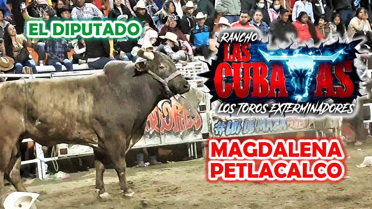 ¡LLEGÓ LA #1 DE MORELOS! RANCHO LAS CUBATAS EN LA MAGDALENA PETLACALCO