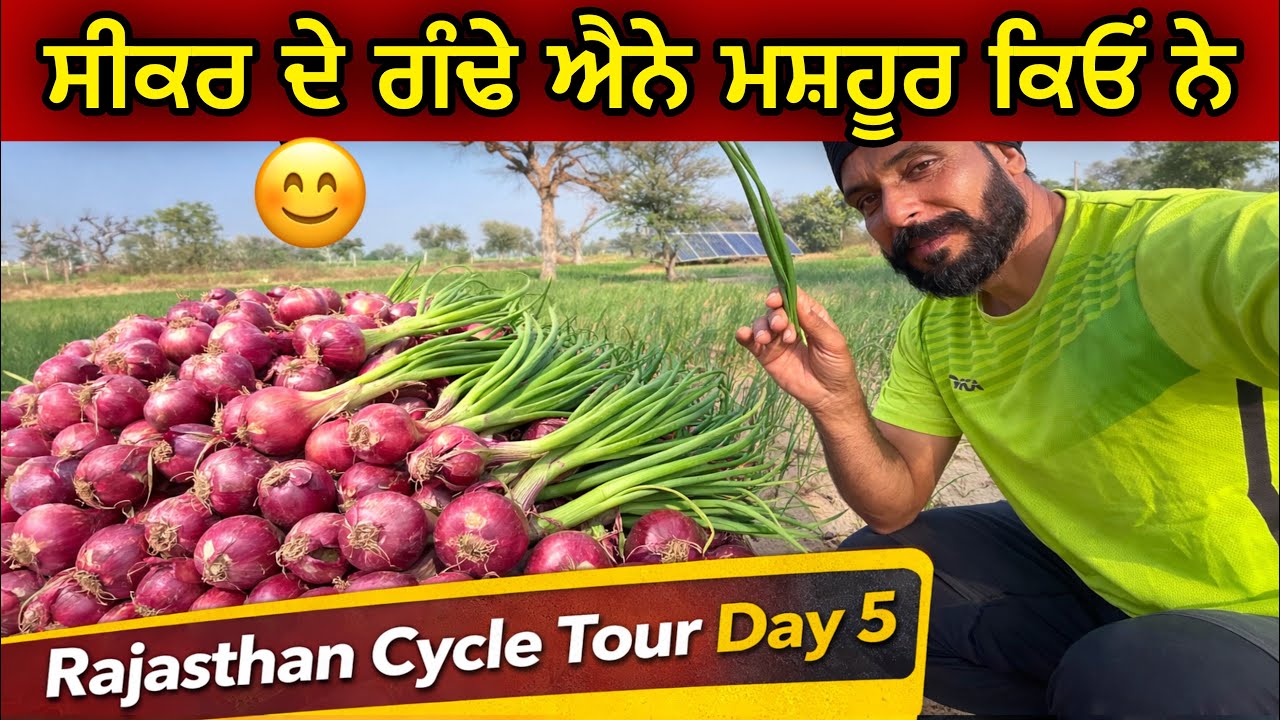 ਸੀਕਰ ਦੇ ਗੰਢੇ ਐਨੇ ਮਸ਼ਹੂਰ ਕਿਓਂ ਨੇ । Rajasthan Cycle Tour । Day-5 Gur Brar Vlogs