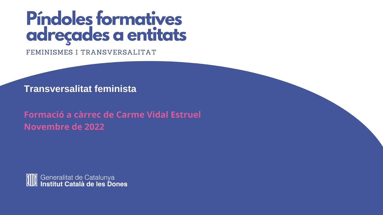 Feminismes i transversalitat