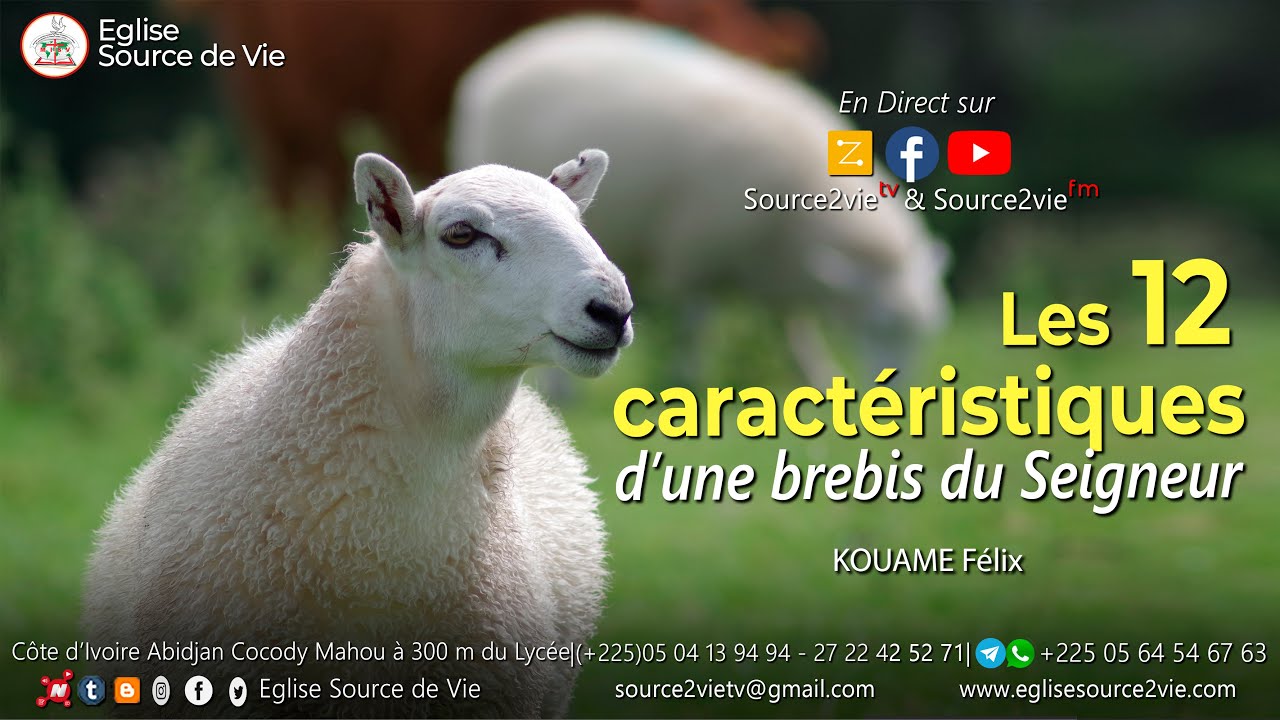 Pasteur KOUAME Félix | Les 12 caractéristiques d'une brebis du Seigneur