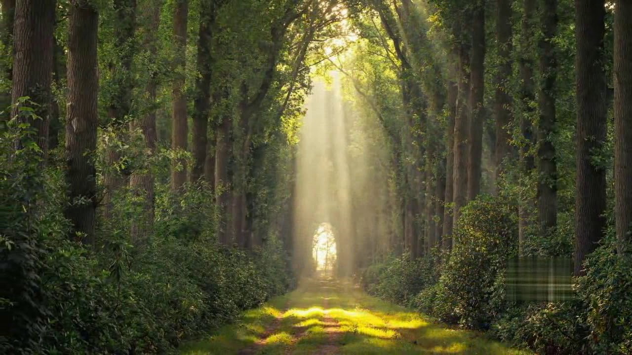 Vangelis with Montserrat Caballye & Montserrat Marti - Prayer