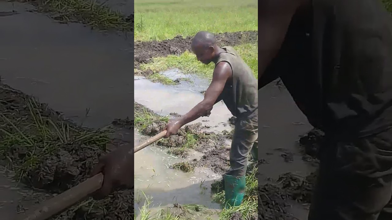 Kilimo burudani