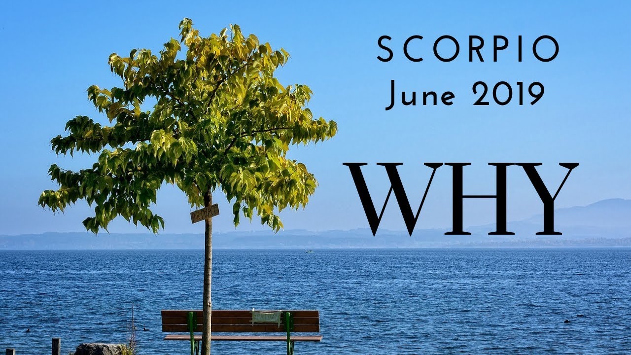 SCORPIO: WHY June 2019