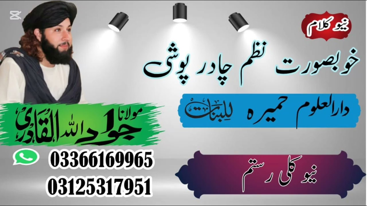 ملگرو مخکی شیر کی 