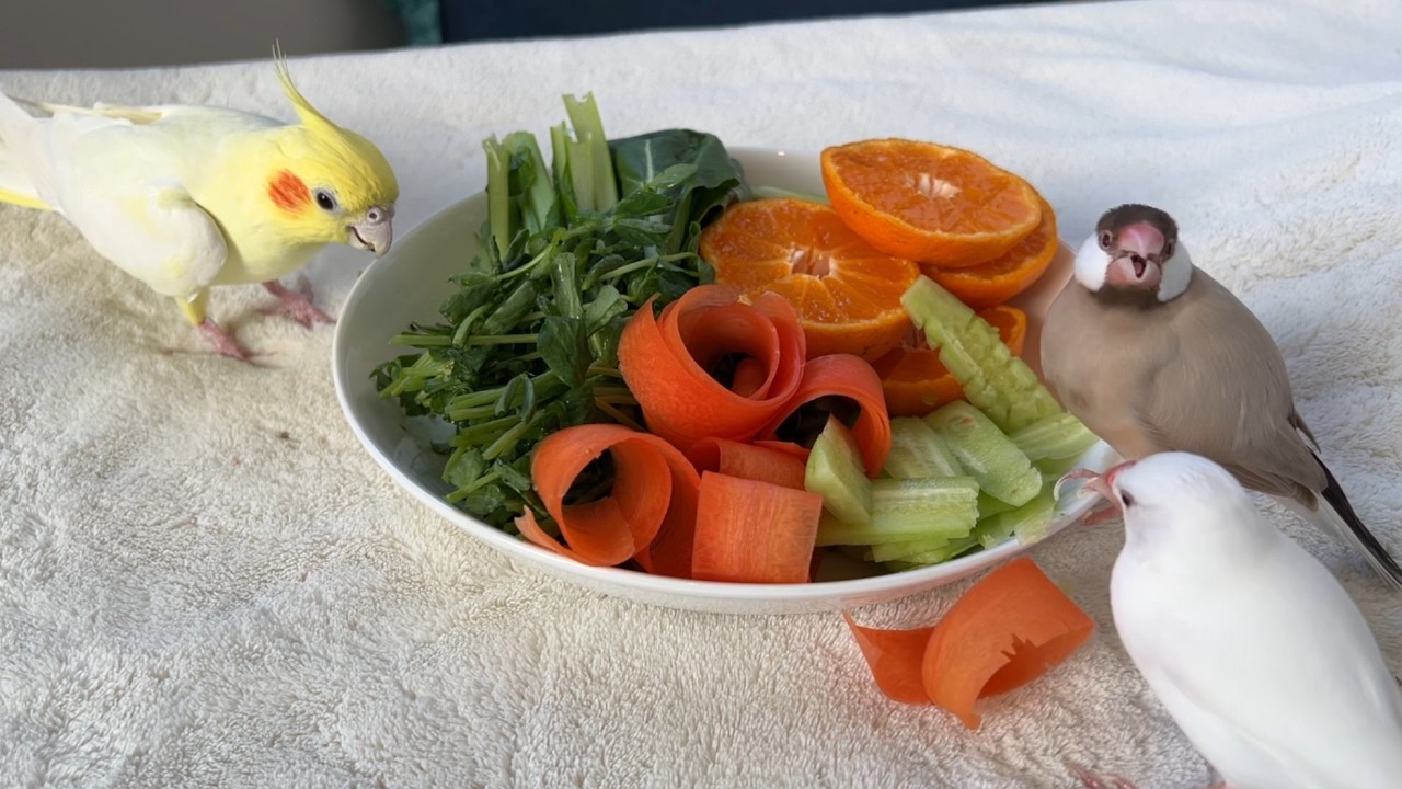 スパチャをみんなで食す