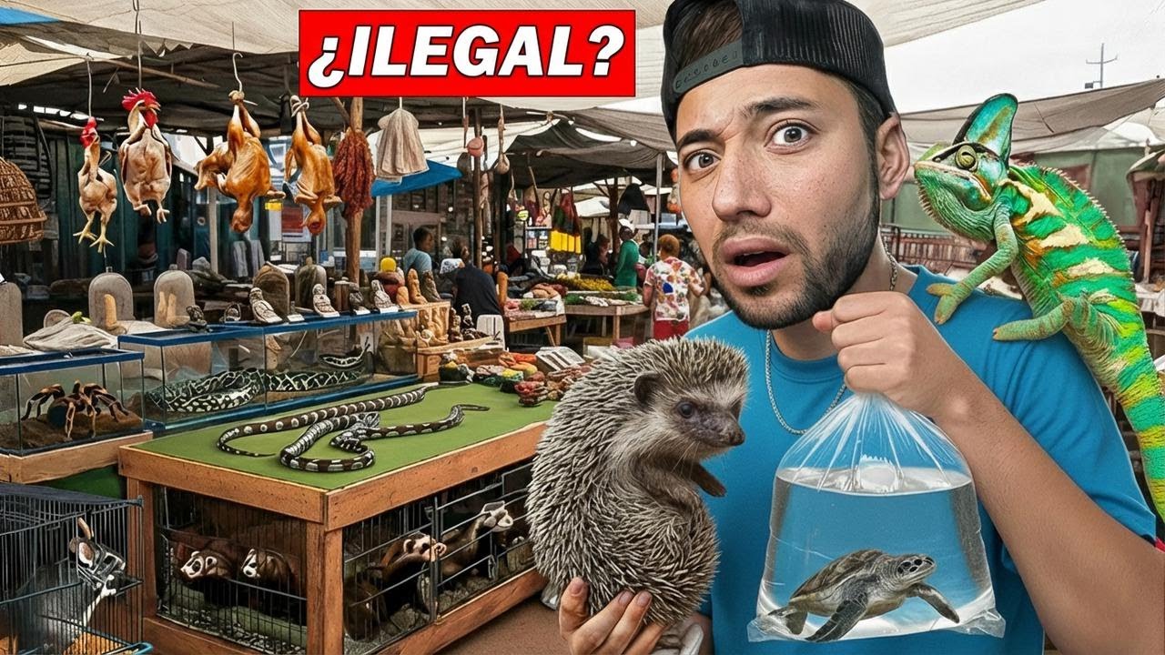 La verdad oculta sobre el mercado de animales en Estados Unidos