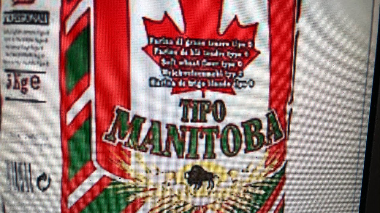 HARINA MANITOBA l ¿TU HARINA TIENE POCA CANTIDAD DE PROTEINAS? l POSIBLE SOLUCION.