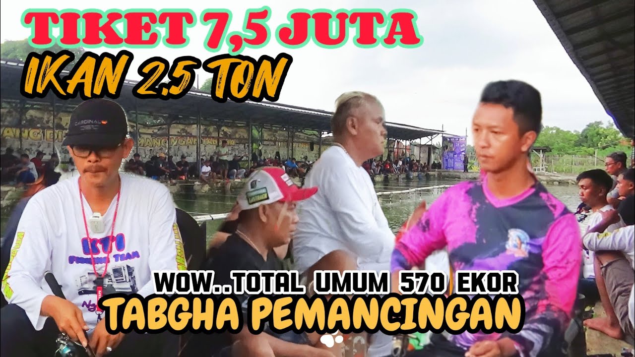 LOMBA MANCING IKAN MAS TOTAL TERBANYAK 570 EKOR DAN BERAT 62.55 KG DI TABGHA PEMANCINGAN