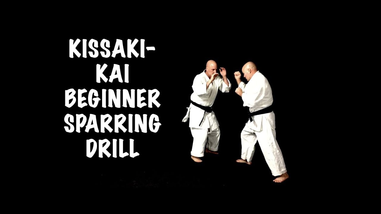 kissaki kai bassic sparring drill