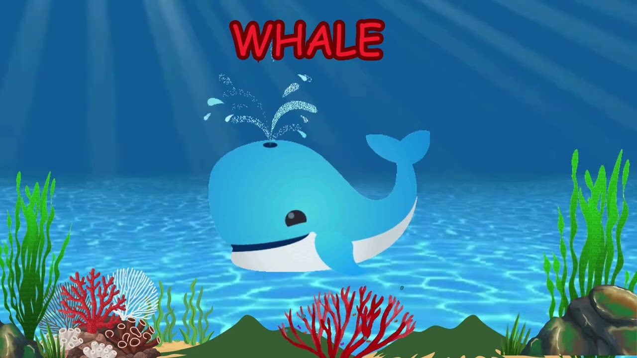 Guess these Marine Animals
