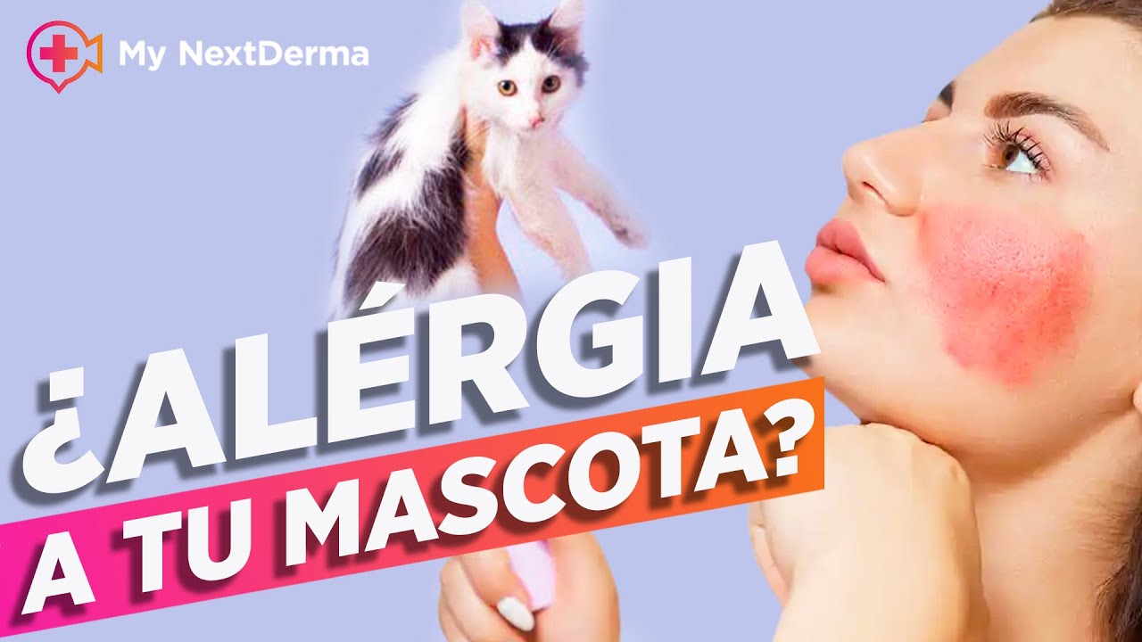 ¡Alergia a los animales! 5 Tips para Controlar las Alergias
